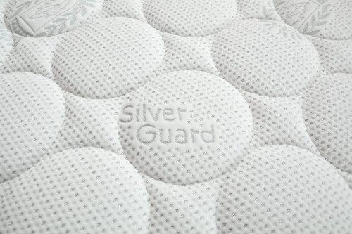 Silver_closeup_2020_01.jpg