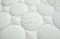 Silver_closeup_2020_01.jpg