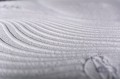 _DSC0614.jpg