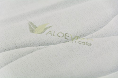 Aloe_vera_closeup_01.jpg