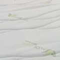 Aloe_vera_closeup_square_02.jpg