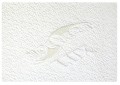 KAldoo_aloeveraniepik_komfort25.jpg